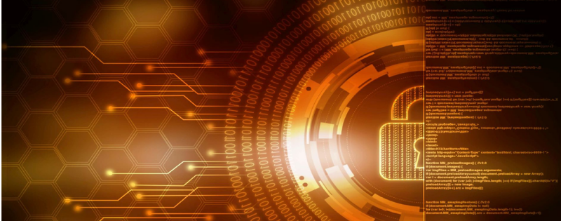 Cyber Law Cyber Law