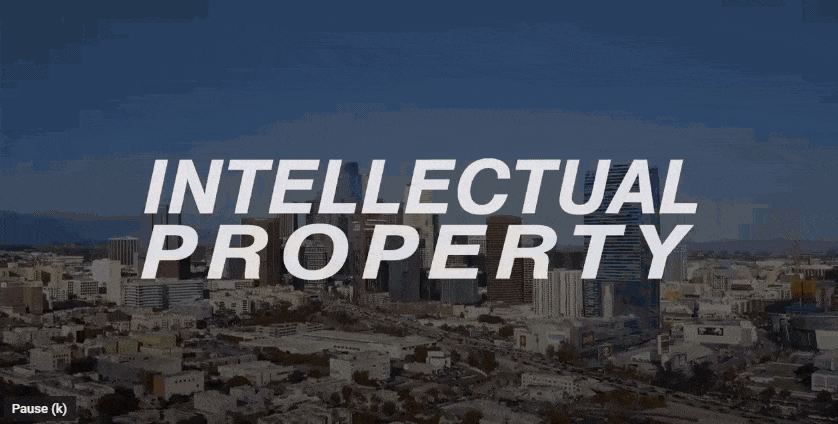 Patents and Litigation in Practice - Deco Lighting